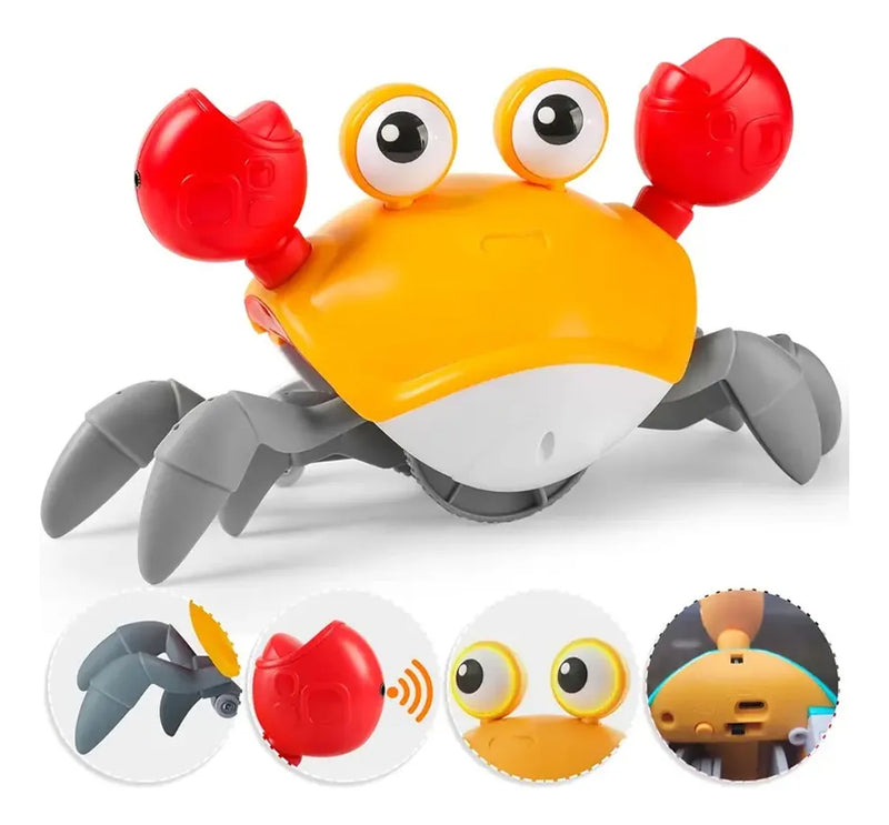 Cangrejo Con Luz, Música Y Movimiento-2