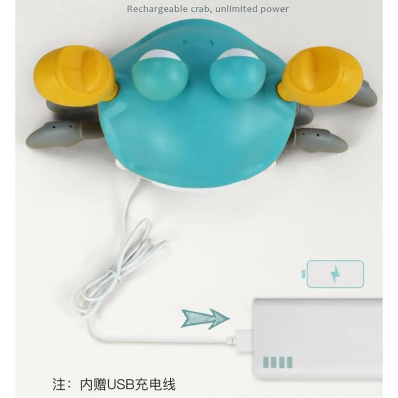 Cangrejo Con Luz, Música Y Movimiento-6